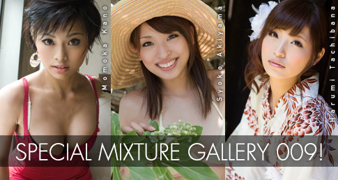 Mixture009